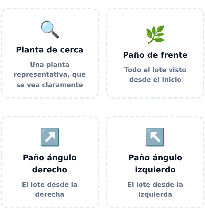 Las 4 fotos obligatorias del lote: planta, paño de frente y ambos ángulos